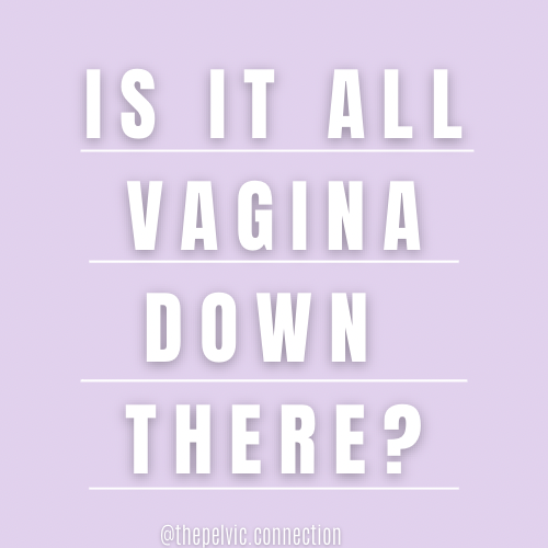 Is It All Vagina Down There?