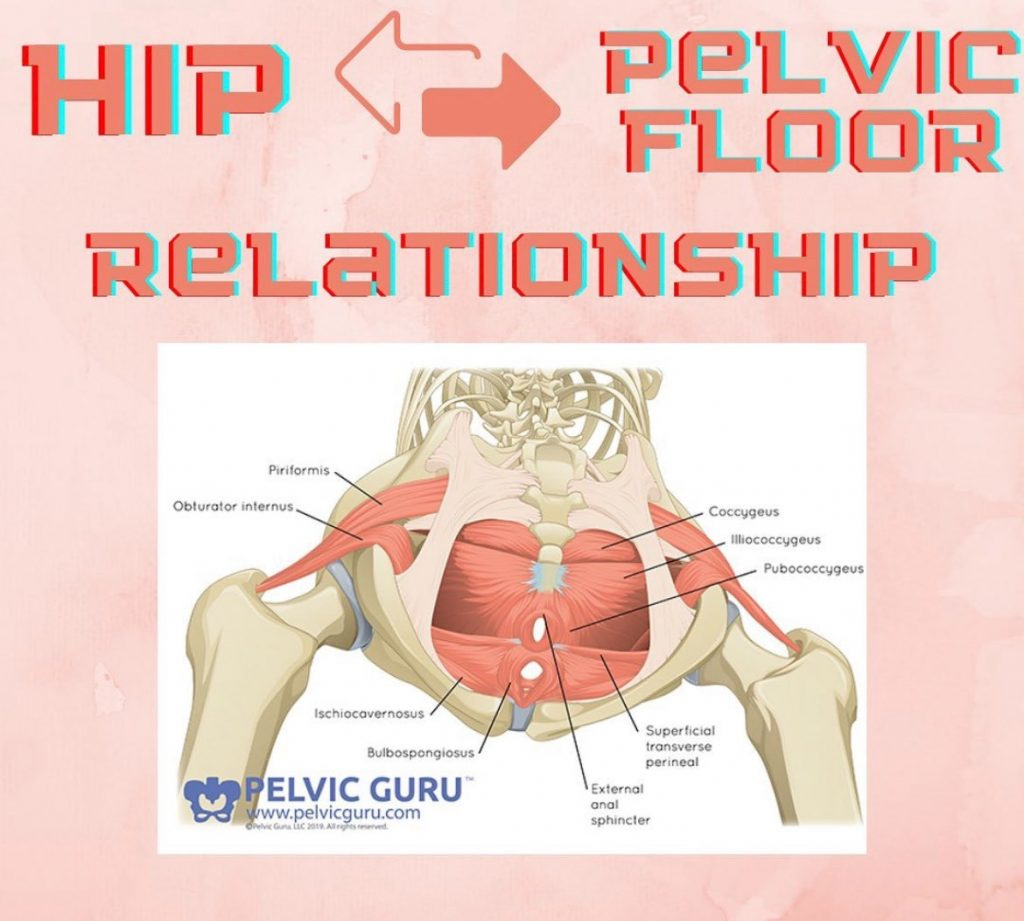 How Do Your Hips Connect To Your Pelvic Floor